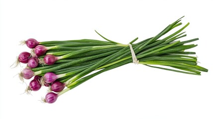 Fototapeta premium A bunch of fresh spring onions with green stalks and red bulbs tied together on a white background