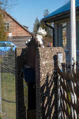 Cat statue on fence at rural home surrounded by nature in sunny weather
