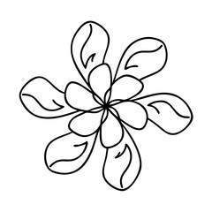 Fototapeta premium flower petals icon, flower petals line art - simple line art of flower petals, perfect for flower petals logos and icons