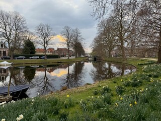 Obraz premium Beautiful flowers and trees near city canal on cloudy day