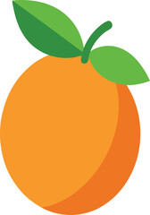  kumquat vector on transparent background