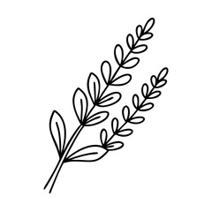 lavender sprig icon, lavender sprig line art - simple line art of lavender sprig, perfect for lavender sprig logos and icons