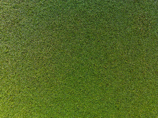 aerial view agricultural field background organic crop texture pattern plants