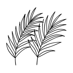 palm branches icon, palm branches line art - simple line art of palm branches, perfect for palm branches logos and icons
