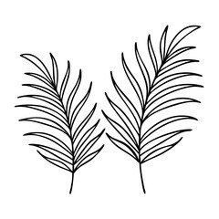 Obraz premium palm branches icon, palm branches line art - simple line art of palm branches, perfect for palm branches logos and icons