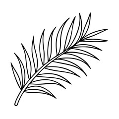 palm branches icon, palm branches line art - simple line art of palm branches, perfect for palm branches logos and icons
