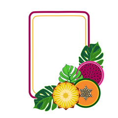 Tropical frame with exotic fruits and monstera leaves vector illustration 