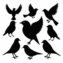 A cute cartoon vector illustration shows a black silhouette of a bird, perhaps a crow or sparrow, with a feather wing, a beak, on a nature branch, part of a loving animal couple pattern design