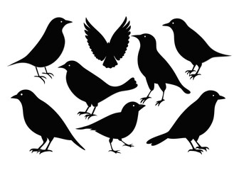 A cute cartoon vector illustration shows a black silhouette of a bird, perhaps a crow or sparrow, with a feather wing, a beak, on a nature branch, part of a loving animal couple pattern design