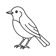 Obraz premium robin bird icon, robin bird line art - simple line art of robin bird, perfect for robin bird logos and icons