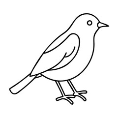Obraz premium robin bird icon, robin bird line art - simple line art of robin bird, perfect for robin bird logos and icons