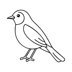 robin bird icon, robin bird line art - simple line art of robin bird, perfect for robin bird logos and icons
