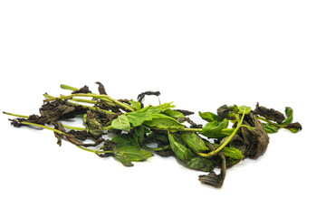 Rotten mint leaves on a white isolated background