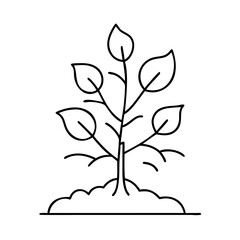 tree sapling icon, tree sapling line art - simple line art of tree sapling, perfect for tree sapling logos and icons