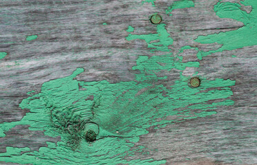 Texture of old wooden surface with peeling green paint