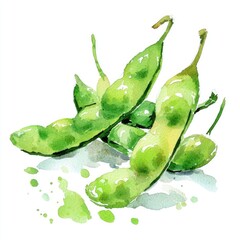 Fresh, vibrant watercolor illustration of edamame pods.  A close-up view showcases the light green color and delicate texture of the pods, emphasizing the fresh, healthy quality of the food