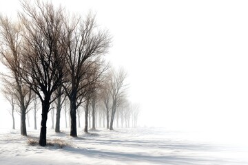 Fototapeta premium Trees Standing Tall in a Snowy Winter Landscape