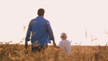 Family son and father holding hands walking together at sunlight wheat field back view. Man parent...