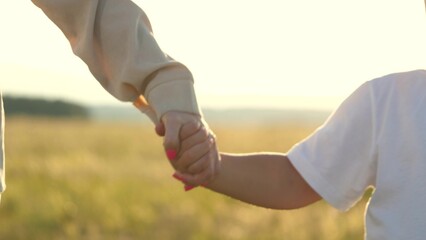boy holds his mother hand close-up shot park during day with sunset background. child parent...