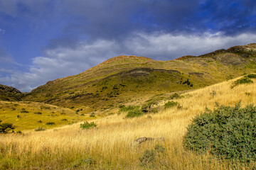 Landscape from Nationalpark Torres del Pine, Chile