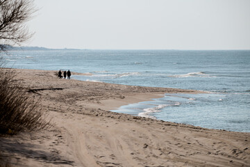 Serene beach walk on quiet coastline under soft light