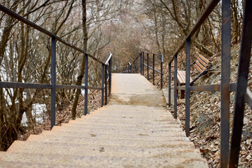 Stone staircase leading through leafless forest in overcast light