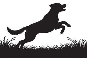 Silhouette of Leaping Dog in Grassy Field Happy and Playful
