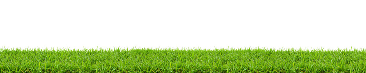 Fototapeta premium Fresh Green Grass Edge On Transparent Background