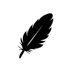 Fototapeta premium A delicate feather vector icon with vane texture