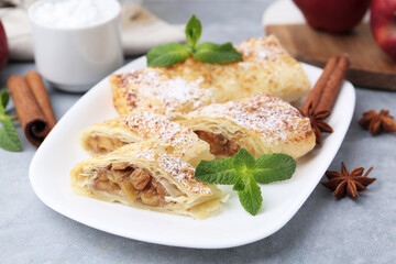 Tasty apple strudels with powdered sugar, mint and spices on light grey table, closeup