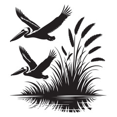 Silhouette Pelicans Flying Above Wetland Reeds in a Wildlife Scene