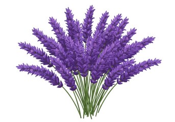 Obraz premium Lavender bouquet illustration for floral design projects isolated on white background