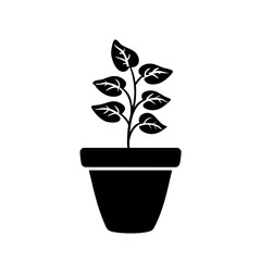A potted plant vector icon with leaves
