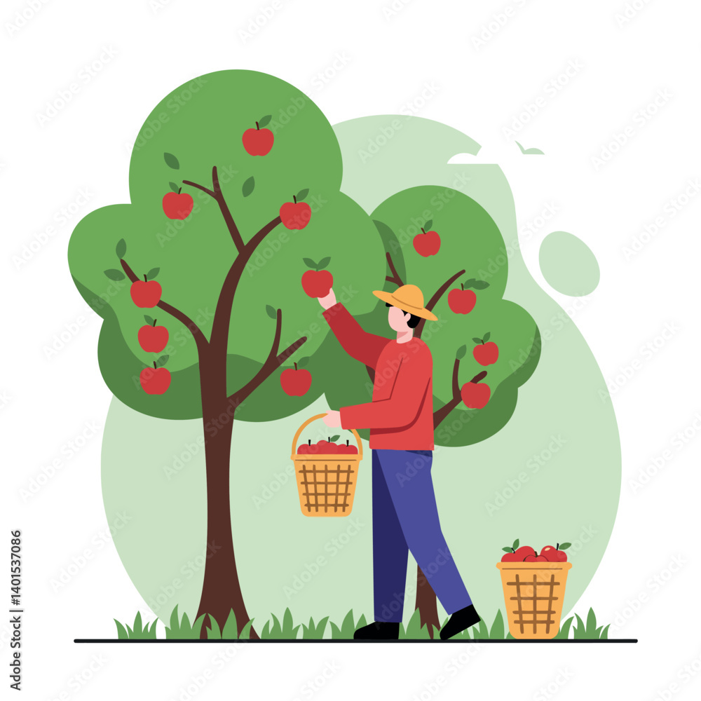 Poster a man picking ripe apples from a tree in a lush orchard, featuring a flat design style, showcasing a