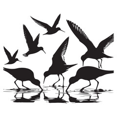 Shorebirds Silhouette Feeding in Water Illustration Vector Art
