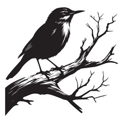 Charming Silhouette of Bird Perched on Branch Illustration Design