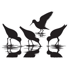 Silhouette of Shorebirds Searching Food Water Reflection Illustration