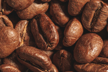 Freshly Roasted Coffee Beans in Sharp Detail.........