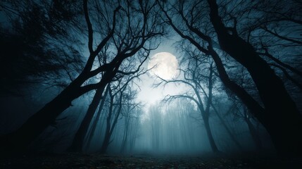 Magical forest with scary crooked black trees and moon at night, dark spooky woods. Cinematic landscape in strange fairy tale world. Concept of fantasy, horror, movie, background.