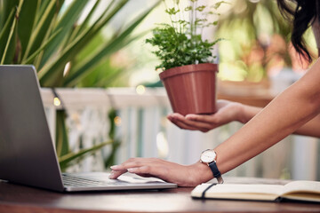 Woman, hand and laptop with pot plant and notebook, online and botanical business for sustainable...