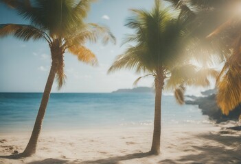 tropical bright beach sunny day palm tree background holiday beautiful relax island leaf resort sunlight ocean tour tourism exotic sun summer coconut vacation sky sea nature landscape blue natural