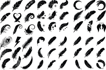 Bird Feathers Silhouette Vector Collection Feather Shapes Silhouette Set for Design

