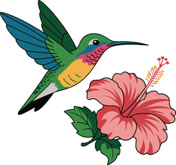 Obraz premium Hummingbird and flower vector. Colorful flying Colibri and tropical flower vector illustration on white background. Suitable for printing, baby books, t-shirts and other graphics resources.