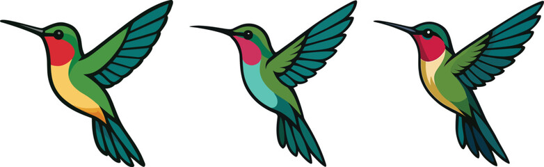 Obraz premium Hummingbird. Set of hummingbird vector illustrations on a white background. Colibri vector set can be used as graphic resources.