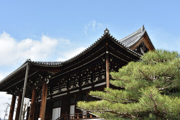 金戒光明寺　御影堂(大殿)と松