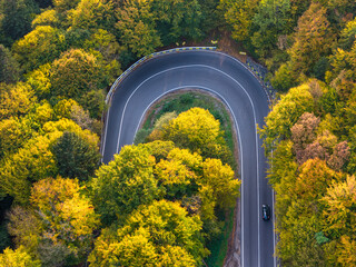 vibrant autumn colors of a forest with a winding asphalt road, aerial view