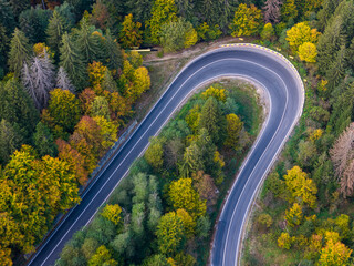 vibrant autumn colors of a forest with a winding asphalt road, aerial view
