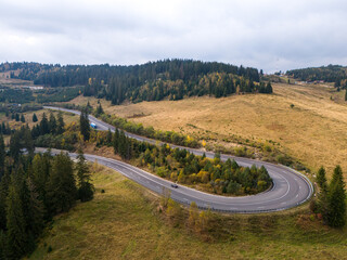 vibrant autumn colors of a forest with a winding asphalt road, aerial view