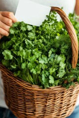 Naklejka premium A hand delicately cradles a wicker basket filled with lush green herbs, showcasing their freshness and culinary appeal, with a bright background highlighting their vivid colors