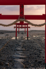 朝日に照らされる大魚神社の海中鳥居
